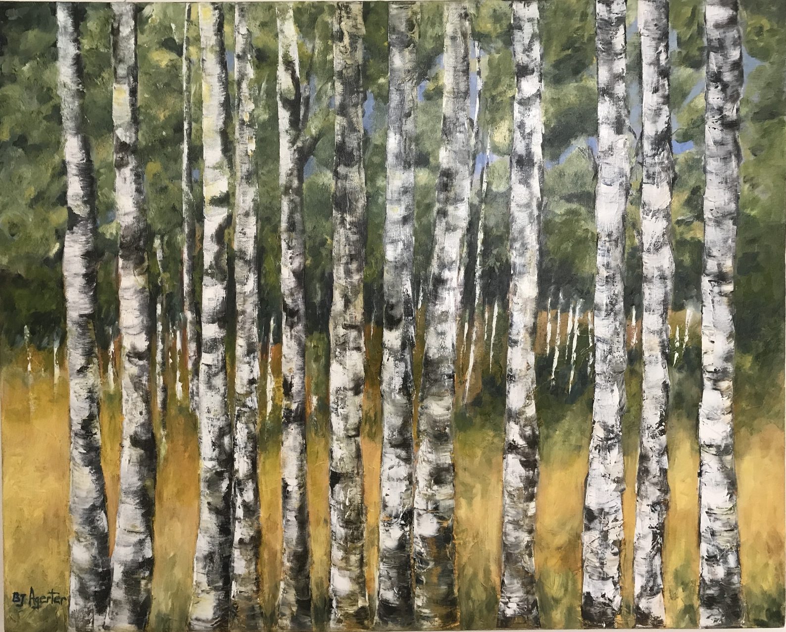 Birch Trees painting