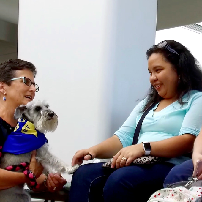 therapy dog greets passengers at RST